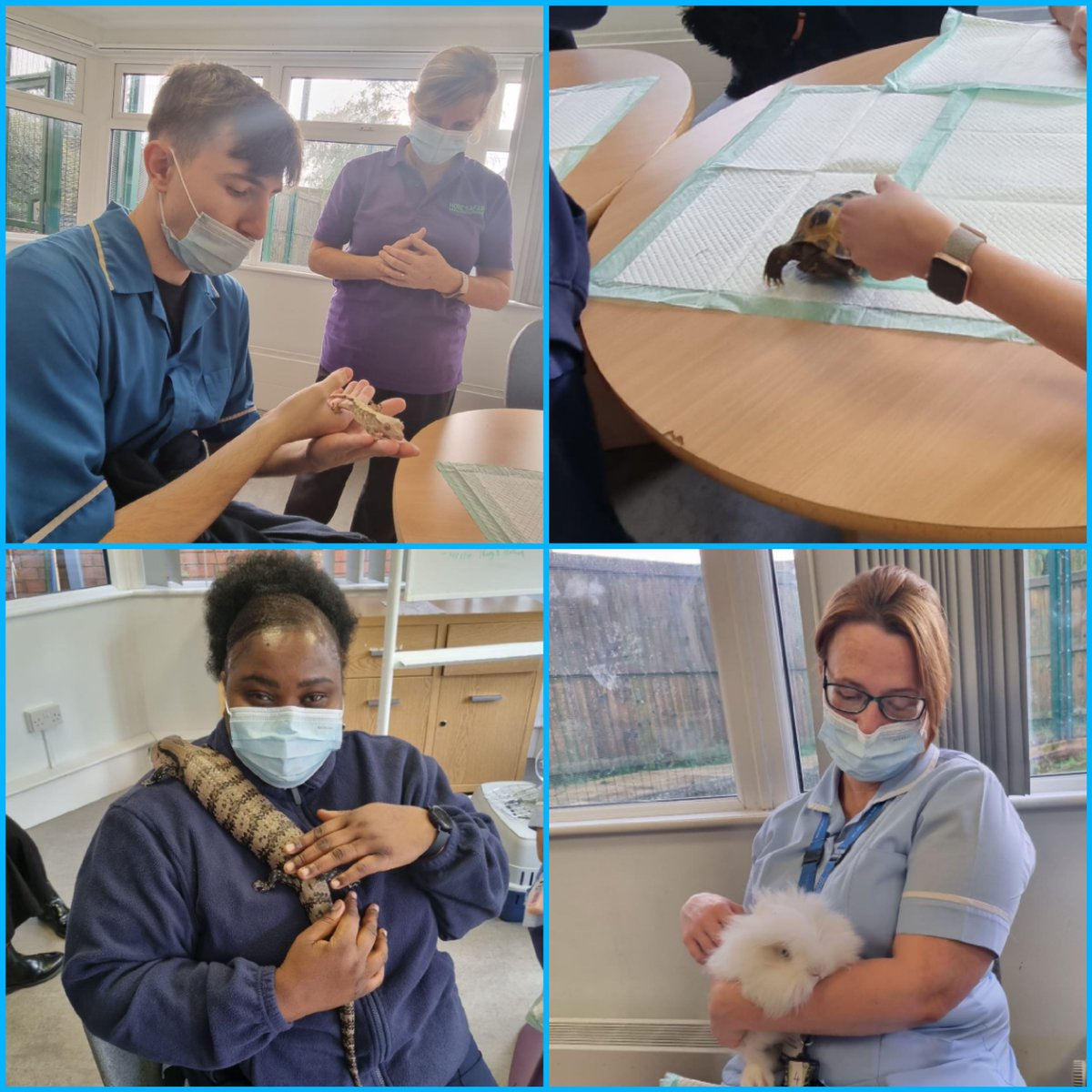 Great to see the return of <a href="/Home_Safari/">Home Safari.</a> to the inpatient unit at Bolton. Lovely to see the smiles on our gents faces meeting the animals and a favourite with the staff too 🥰#bestgroupoftheweek
<a href="/GMMH_NHS/">Greater Manchester Mental Health</a> <a href="/Polly_Solomon/">Paula Solomon</a>