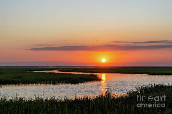 Check out ..Golden Isles Marshland Sunset bit.ly/3GCSVim #georgia #coastal #marsh #NaturePhotography #colorful #landscape #GeorgiaCoast #fineartphotography #wallart #homedecor #beautiful #buyart #artforsale