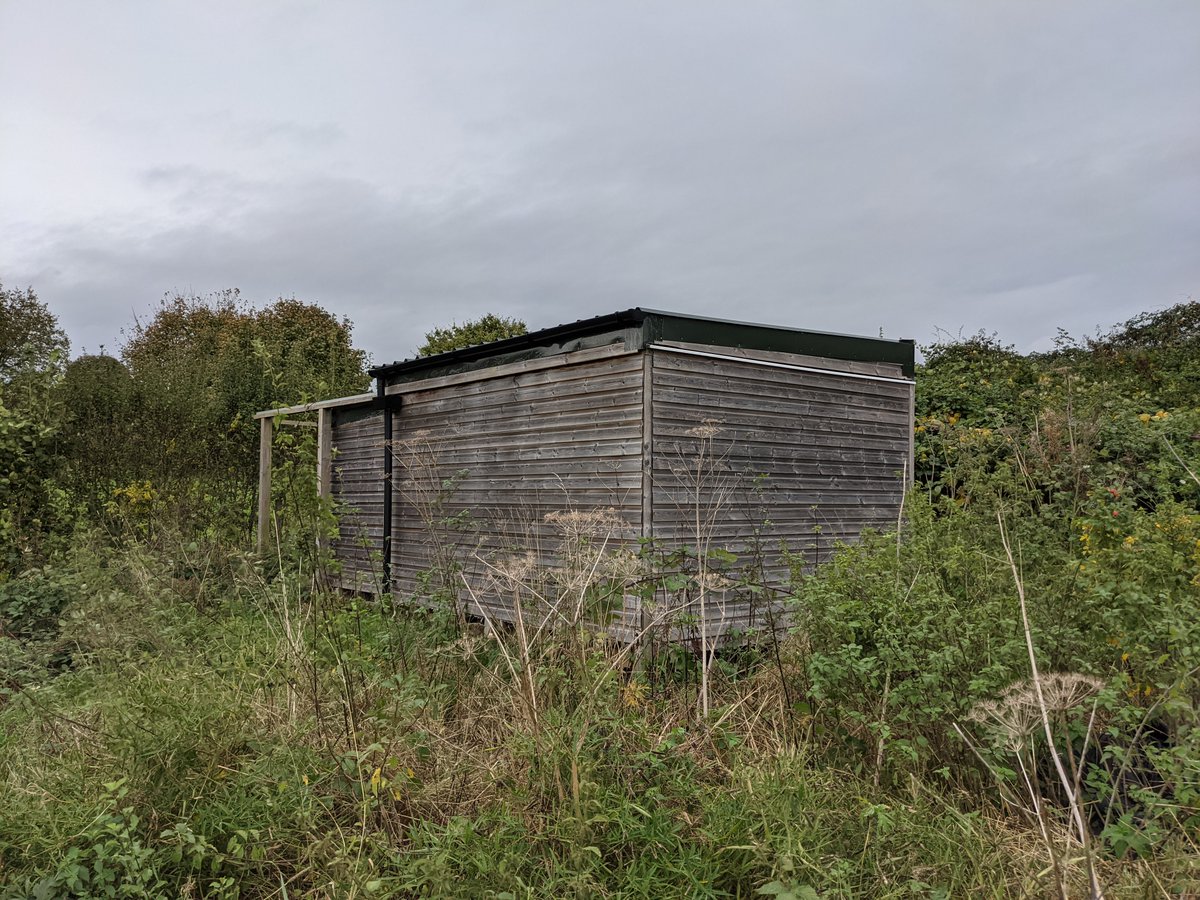 Something else I'd like to find a home for... I am the accidental owner of an home-built observatory, complete with sliding roof. Free to anyone who can dismantle it and take it away. Would do for a big storage shed too. Overall 5m x 3m.