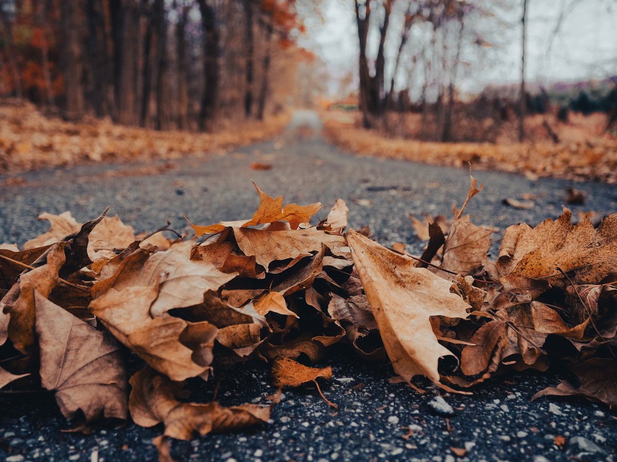 mopage19's tweet photo. hello november https://t.co/Vihts20GeT