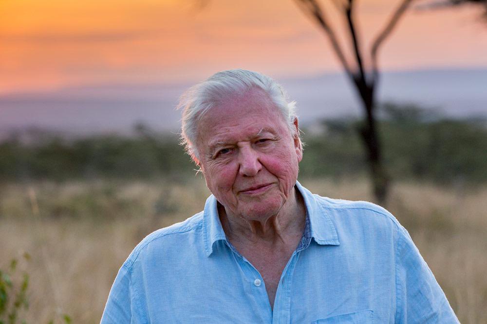 #SirDavidAttenborough knocked it out of the park with his emotional beautiful speech at #COP26Glasgow 
I’ve often thought when watching his various tv presentations why the leaders who impact change are not listening to him, such an amazing eloquent hero of a man!