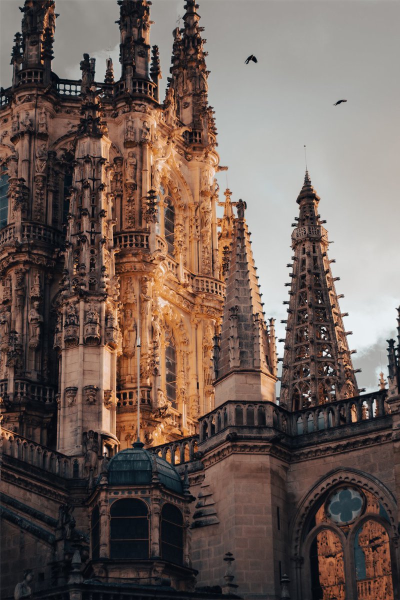 RamisSofi's tweet photo. La Catedral de Burgos vista con otros ojos https://t.co/pO0N150wVG