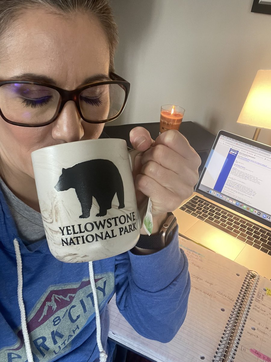 RaeganMedgie's tweet image. So. Tired.  #Forecasting a nap… but must keep pushing …  @PSUWorldCampus #forecastingcertificate #doneindecember