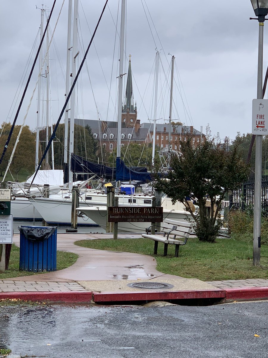 VoteSarahLacey's tweet photo. It may be rainy, but it’s still #ElectionDay in Annapolis! 

Let’s #GOTV for our Democratic candidates  

@gavin4annapolis @mddems https://t.co/rEMQkyEWAR