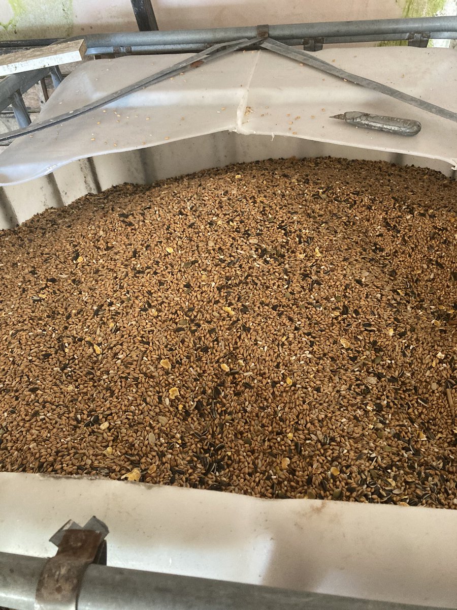 That’s a lot of bird food. About a ton and a half in fact for supplementary feeding of farmland birds over the winter as part of @npwsBioData Tillage Farm Plan scheme