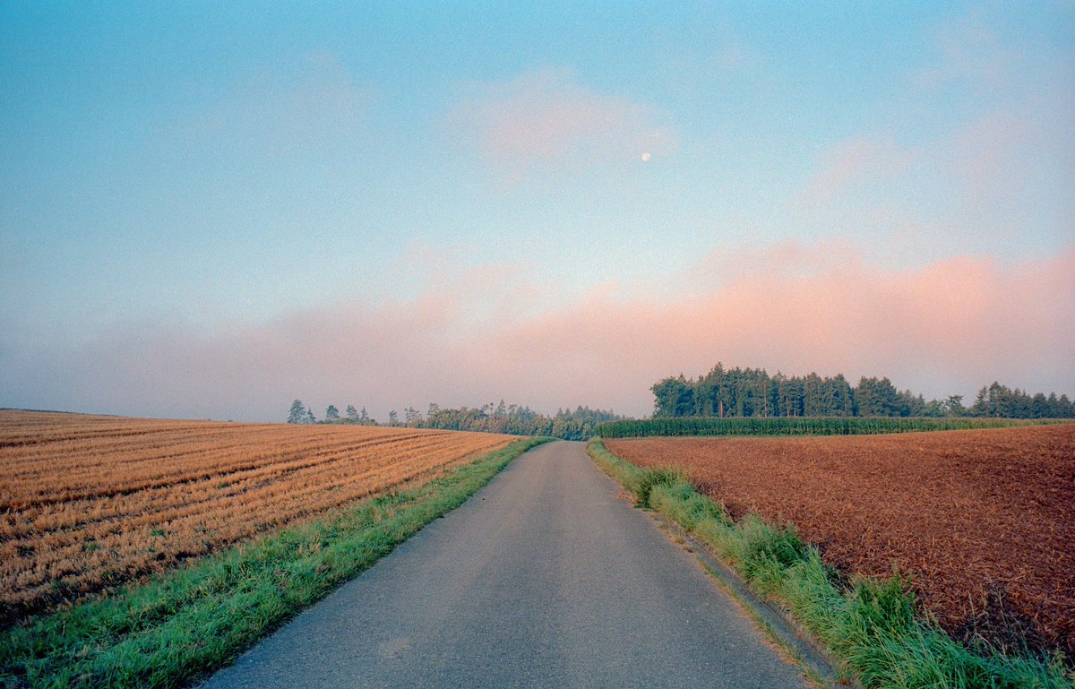 analoguevibez's tweet photo. I love autumn. https://t.co/RWNIybW6Cn