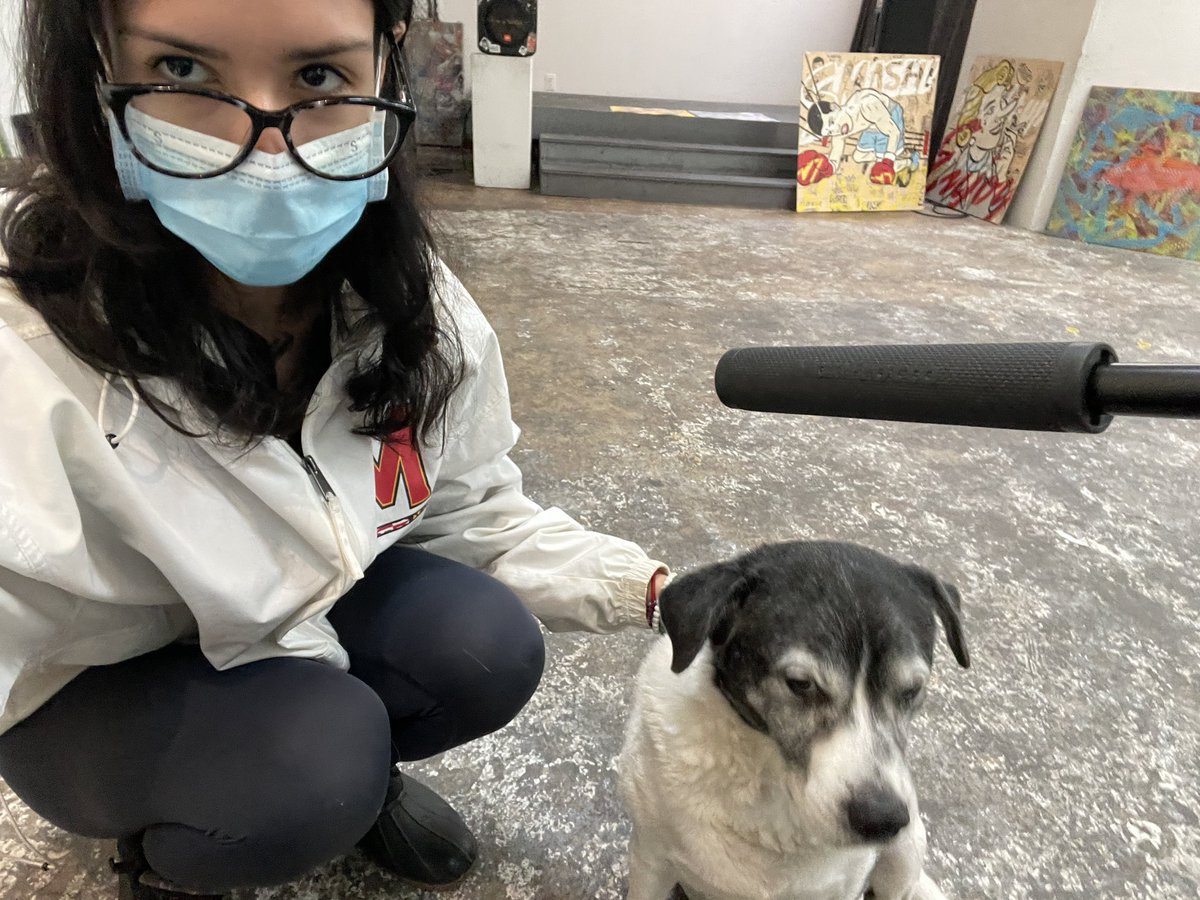 paulinavduque's tweet photo. another day shooting #368x #Documentary today there was a dog https://t.co/TG4w6Ndl5E