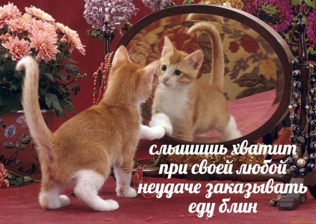so_mad_so_funny's tweet photo. https://t.co/CsHlpOtRws