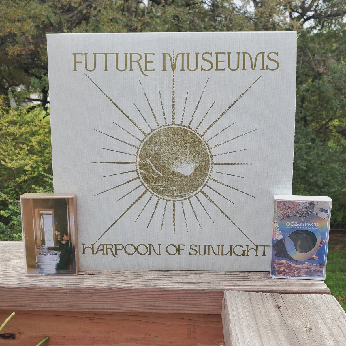 auralcanyon's tweet photo. Excitingly fresh &amp; amazing times here at the ol AC HQ... thank you for your support &amp; patience. HUGE xs &amp; thanks to Chaz, Neil &amp; Jon. 

#lakemary #onceitsallontheground 
#futuremuseums #harpoonofsunlight 
#oceanmoon #adventuresintherainbowvortex 
#auralcanyon https://t.co/5t7mvWdTTs