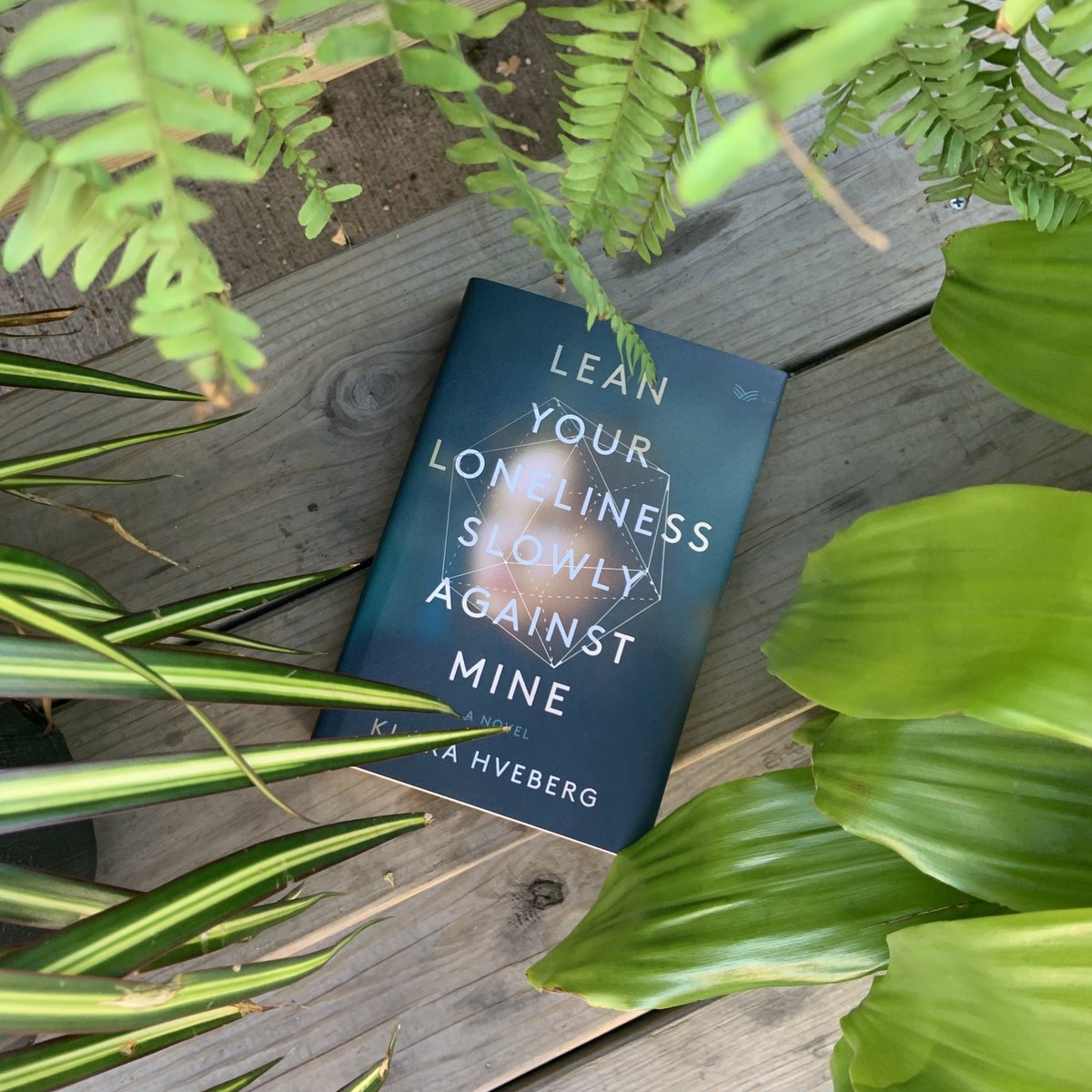 Please join us in wishing a happy publication day to <a href="/KlaraHveberg/">Klara Hveberg</a> and LEAN YOUR LONELINESS SLOWLY AGAINT MINE!

This debut novel is book for the brokenhearted, one that proves that love is the most complicated equation.

harpercollins.com/products/lean-…