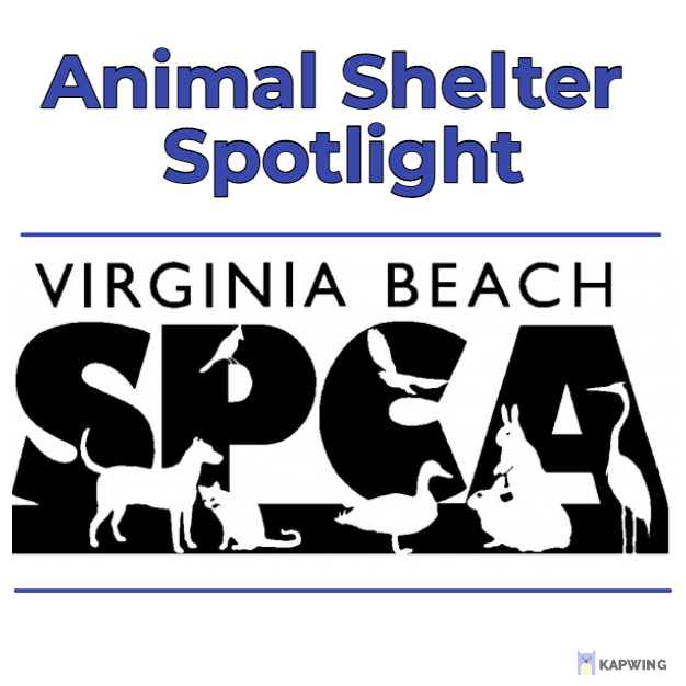 WesleyanEngaged's tweet photo. - VBSPCA - 
Volunteers needed for many tasks, see the list below.
Application Link: https://t.co/0Ui6FXe2Mm  
Group volunteering for groups of 3 - 6  is available for weekends. Email wesleyanengaged@vwu.edu to learn more. https://t.co/FfQm1LIIyc
