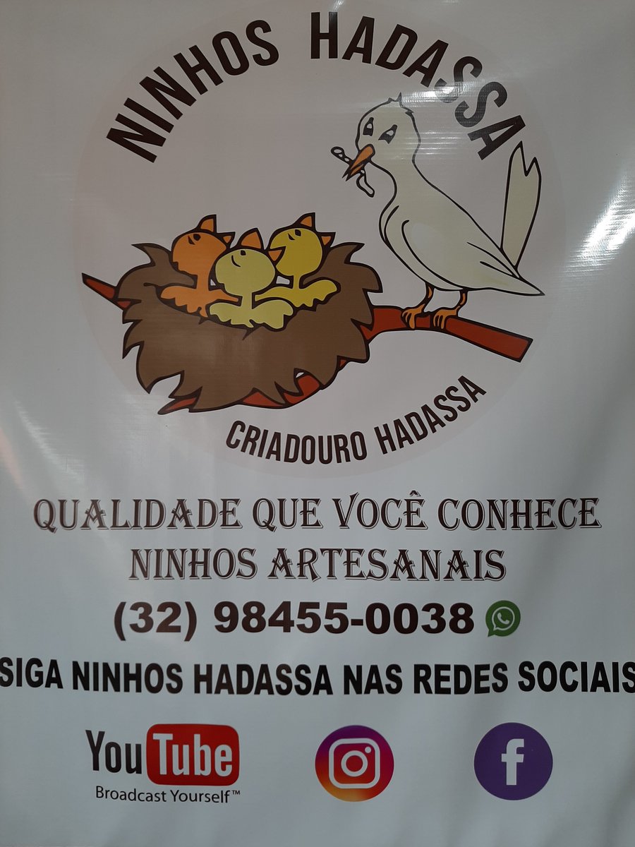 NinhosHadassa's tweet photo. Aqui você encontra os melhores ninhos. https://t.co/sXL1fs5qC6