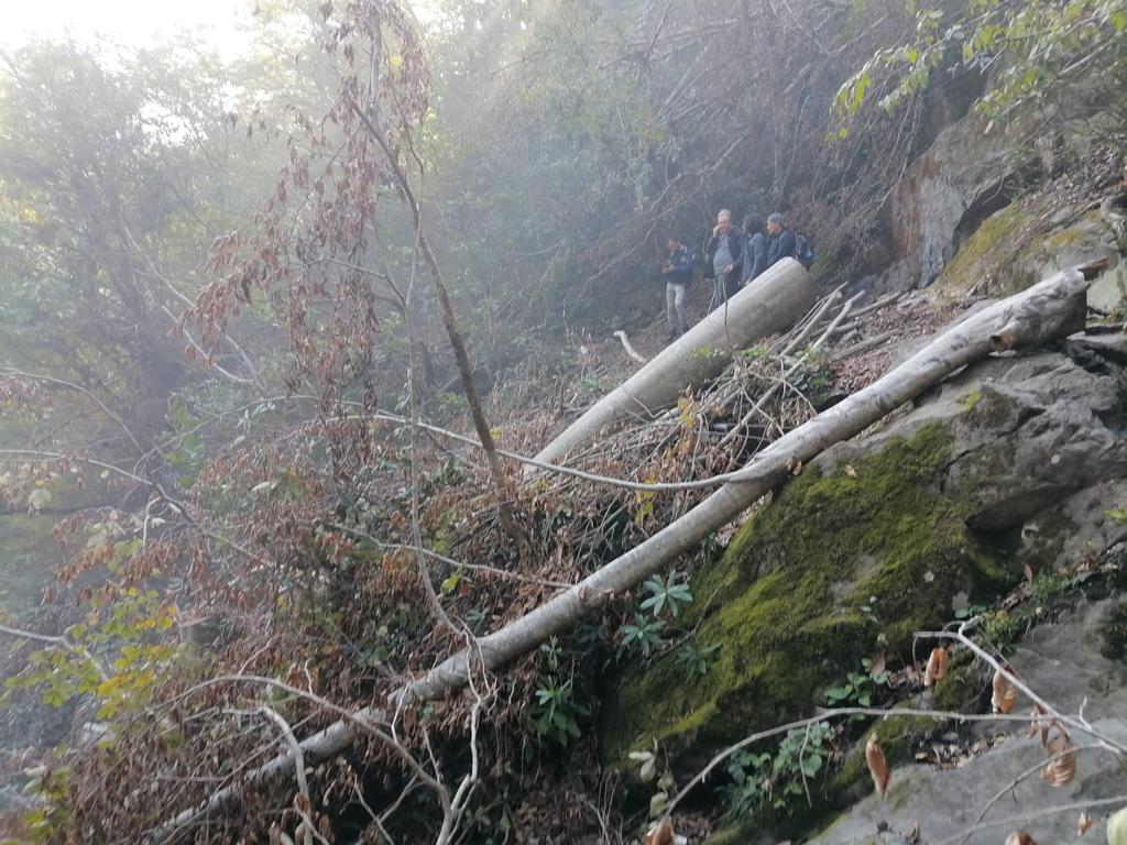 <a href="/bslvs1/">hendekuka</a> <a href="/musti_5334/">mustafa tozkoparan</a> @Aslican33 <a href="/UABakanligi/">T.C. Ulaştırma ve Altyapı Bakanlığı</a> <a href="/TCTarim/">T.C. Tarım ve Orman Bakanlığı</a> <a href="/csbgovtr/">T.C. Çevre, Şehircilik ve İklim Dğş. Bakanlığı</a> <a href="/ikizdere_icder/">İkizdere Çevre Derneği</a> @FOXhaber @Tele_Misyon <a href="/ntv/">NTV</a> <a href="/cnnturk/">CNN TÜRK</a> <a href="/HaberturkTV/">Habertürk TV</a> <a href="/vekilince/">Muharrem İNCE</a> <a href="/Veryansin_Tv/">Veryansın Tv</a> @YolTV <a href="/tv8/">tv8</a> <a href="/TNtorunlar/">Tayyar Baş’ın Torunları,</a> Ormanlar çocuklarındır dedik ama bu katliama dur demezsek yarın çocuklarımız nefes alamadığında bunun sorumlusu sen ben biz oluruz. Bunun için bilirkişi raporuna lütfen uyun"İkizdere de taş ocağı olmaz" denildi. #ikizderedireniyor #ikizderetasocağıolmasın <a href="/ikizdere_icder/">İkizdere Çevre Derneği</a>