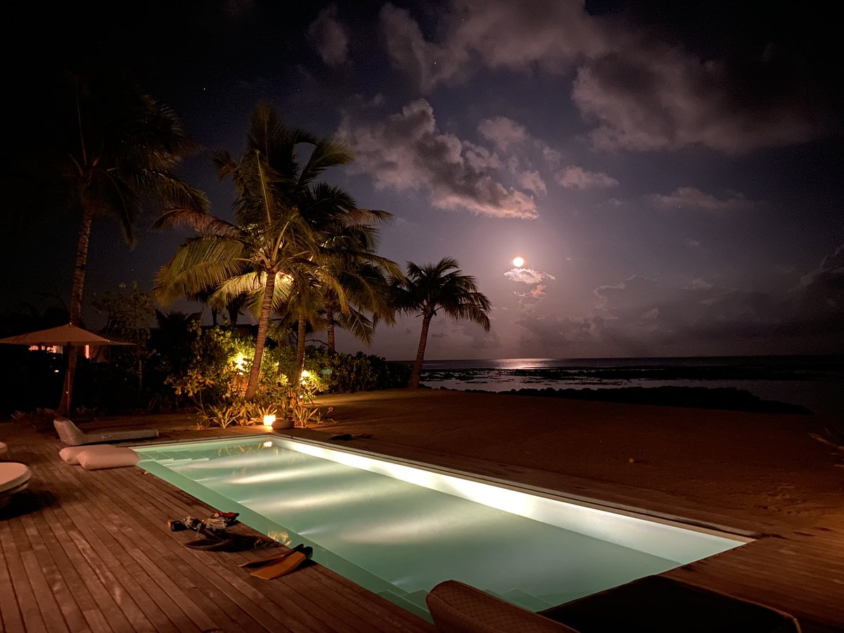 KfatimaJaved's tweet image. &quot;Look deep into the Nature, and then you will understand everything better.&quot;
         &apos;ALBERT  EINSTEIN&apos;
#nature
#spacesciences