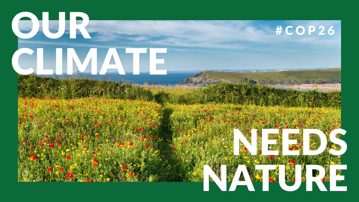 _BCT_'s tweet photo. Making the most of nature’s carbon-capturing superpowers is vital to winning the fight against climate change. 

RT if you think nature should be our #climate hero at #COP26 talks &amp; beyond. https://t.co/721eltpO6O
