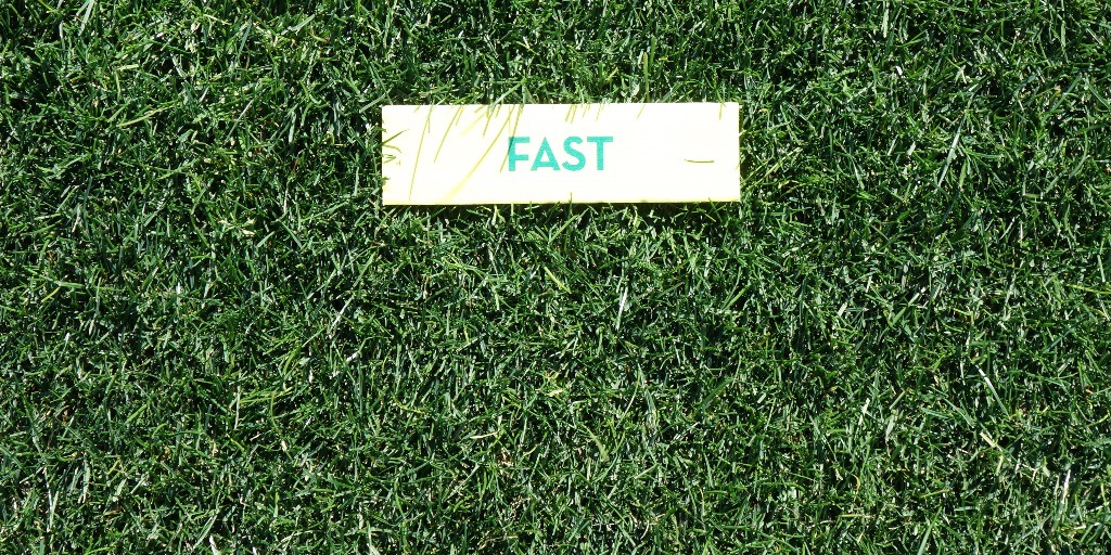 SemillasFitoTG's tweet photo. 📰 #Repoblador, #CreepingRye, #LightRye y #Fast, cuatro de nuestras fórmulas de #raygrasses para dar respuesta a las necesidades del profesional de las áreas verdes 🌱
https://t.co/Jh35DmREaF vía @golfindustria https://t.co/pNLzxTnH6G