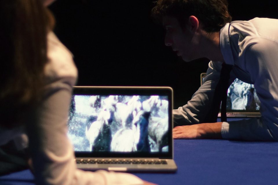 act_festival's tweet photo. #ACT2021 opening AZA3 NOV
20.00H @Guggenheim #TopARTE
triple sesion The Lesson (CAT) Subject of interest(GRE) TRYPOPHOBIA (ITA) https://t.co/cahnGbdjlr