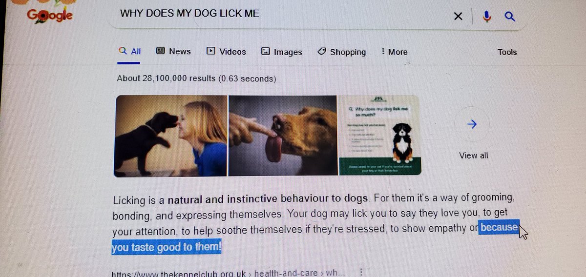 Blueplanet911's tweet photo. I am scared...My dog is looking at me right now.  She either needs to poo or she is plotting my death 

#googlefu #google https://t.co/olIp66bF0O