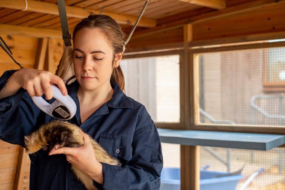 TiaHigman's tweet photo. Was a great opportunity to participate in a marketing photoshoot for the Animal Science degrees at @NTU_ARES. Got some fantastic professional photos out of it as a bonus! #studentlife #marketing #animalscience 🐍🐶 https://t.co/ggUw1MtIGq