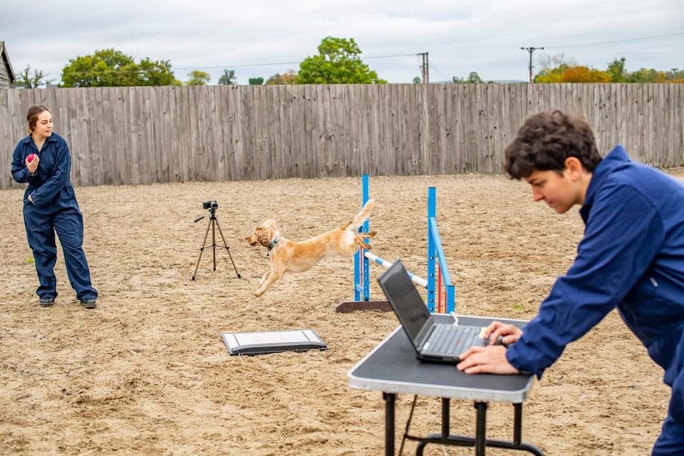 TiaHigman's tweet photo. Was a great opportunity to participate in a marketing photoshoot for the Animal Science degrees at @NTU_ARES. Got some fantastic professional photos out of it as a bonus! #studentlife #marketing #animalscience 🐍🐶 https://t.co/ggUw1MtIGq