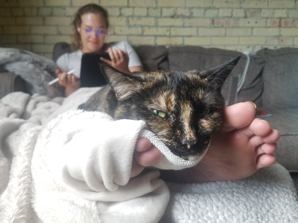 Megbrockington's tweet photo. @PhDVoice @PostdocVoice Adopted Whiskey at the beginning of my PhD and she makes everything better! https://t.co/XobnZPoQSD