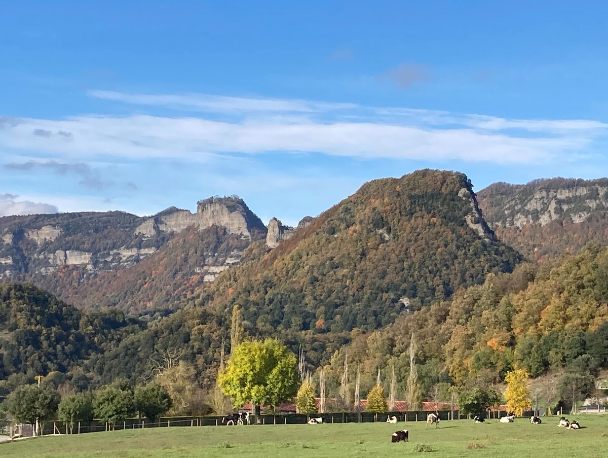 FerranSayol's tweet photo. Last weekend we retrieved all cameras from our study site for  #SnapshotEURO project. The trip included nice autumn scenery (including some rain), and many mammal pictures, including some Pine martens and European wildcats. #ProjecteGatFer with @felis_ichn @ZooBarcelona https://t.co/wvu6ruX4Ru