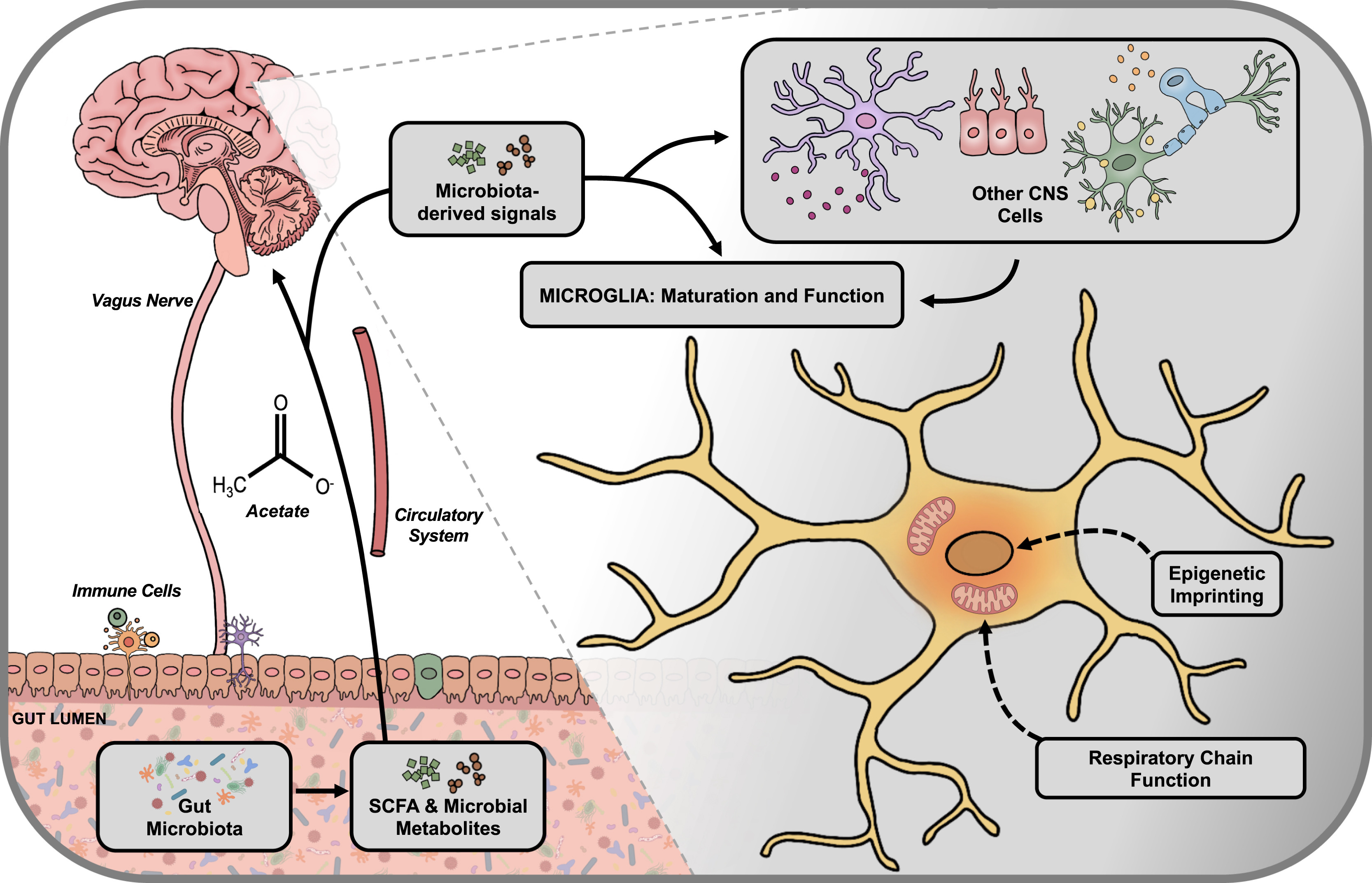 Sinead Kinsella Shinkinsella Twitter