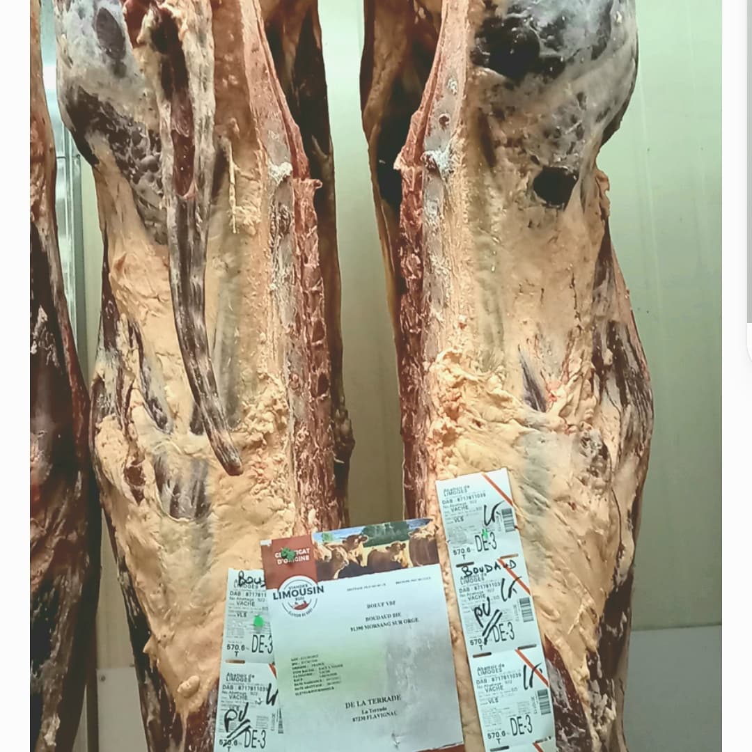 Rodolphe le boucher (@boudaud12) on Twitter photo 