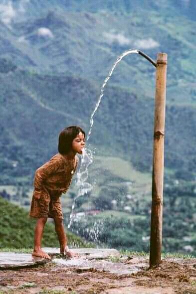 tukwa2's tweet photo. #savetheplanet
#saveallRainforest 
#ClimateCrisis 
#ClimateEmergency 
#climateAgenda
#COP26Glasgow 
@UNEP 
@WWF https://t.co/MhXZK5v8LS