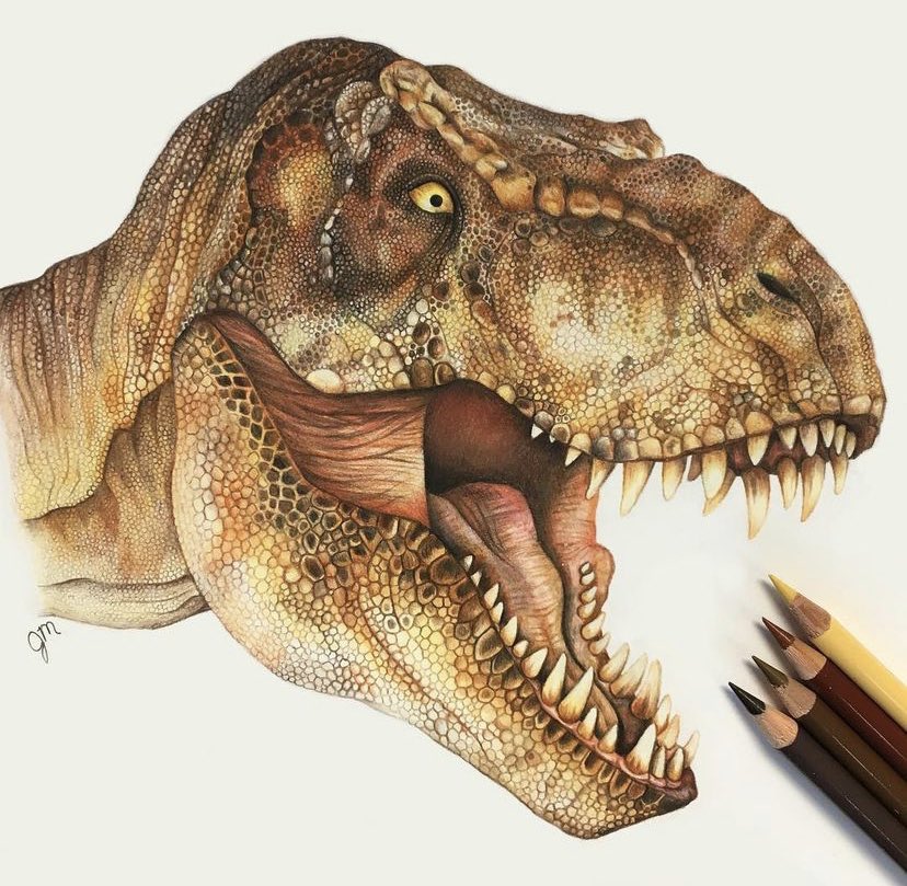 thejurassicmag's tweet photo. Artwork by the incredibly talented Julianna Maston / @juliannamaston
#jurassicworlddominion #dinosaurs #paleoart #theropod #facebiting #carnivores #violence #fight #battle #jurassic #animals #nature #brutal #dinosaur #fossil #paleontology #paleontologist #jurassicpark
🦖❤️🦕 https://t.co/x2OHfnO5DZ