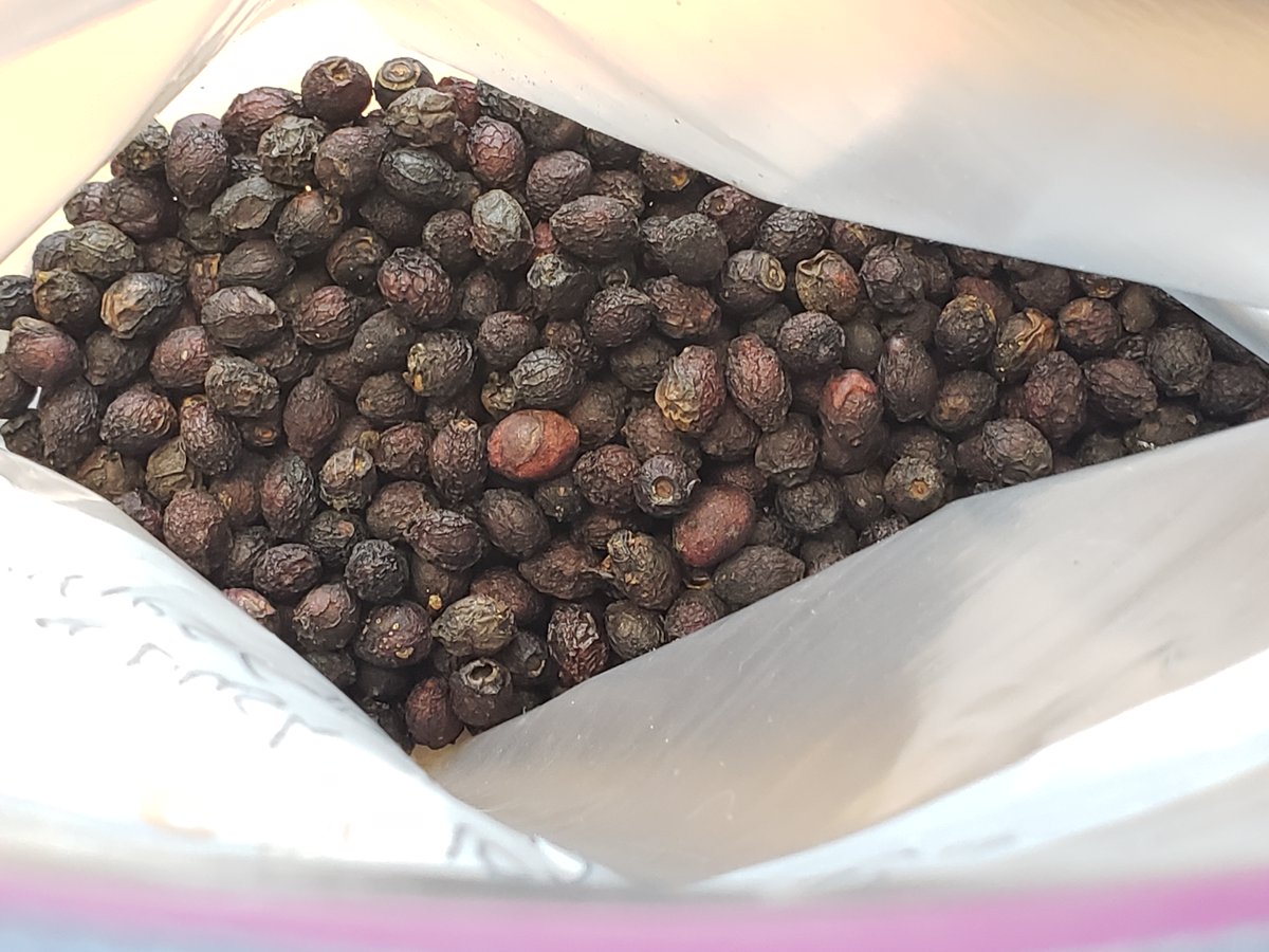 We source most of our ingredients locally, and you can’t get more local than harvesting them fresh from your own forest #downonthefarm. We dehydrated, then froze these spicebush berries to preserve their citrusy-peppery flavor, while we try them out in the test kitchen. #wildgin