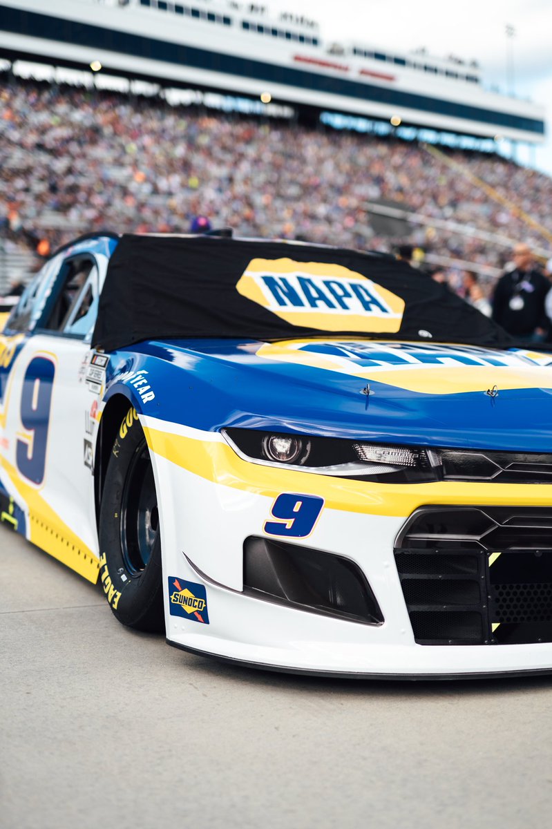 chaseelliott's tweet image. One race. One goal.

#di9