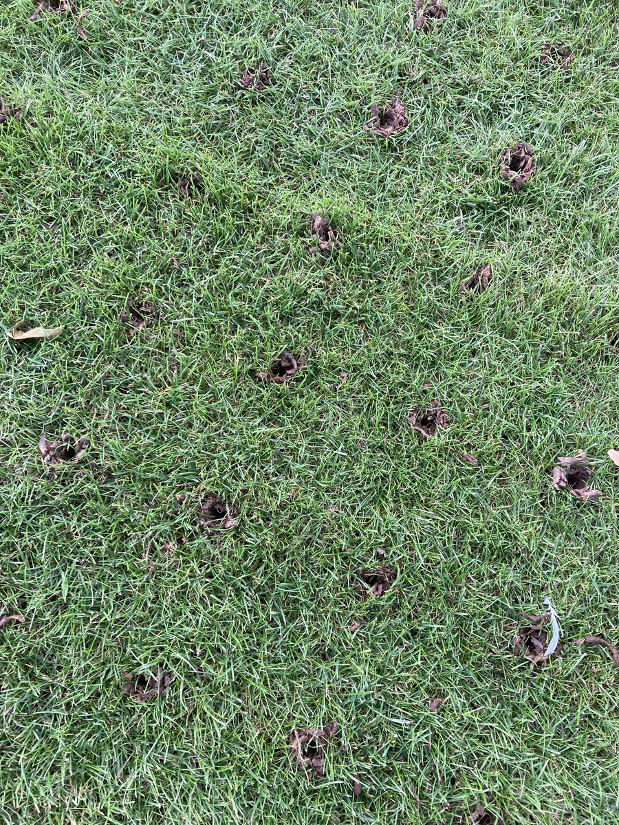 Sean lloyd - Rgs Agronomy tweet media