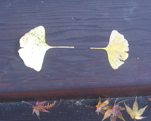 GaryRogowski's tweet photo. Inspiration can be found all around you. #design, #mastery, #onlinemastery, #northwestwoodworking, #mortise, #handmade, #garyrogowski, #joinery https://t.co/zsMhahozjX