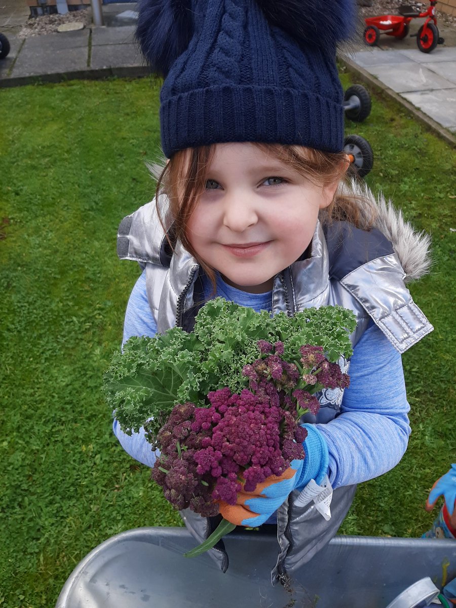 Suzieq1402's tweet photo. Children from #fareplaynursey harvest Violetto cauliflower & kale at @FARE_Scotland LochendCA then planted bulbs in planters in their garden.#deargreenplace #springingintoaction @volunteer_scot @RHSSchools @Jimmy_FARE @KSBScotland @oakwoodG34 @StBenedictsPS https://t.co/ZSEui3o3GM