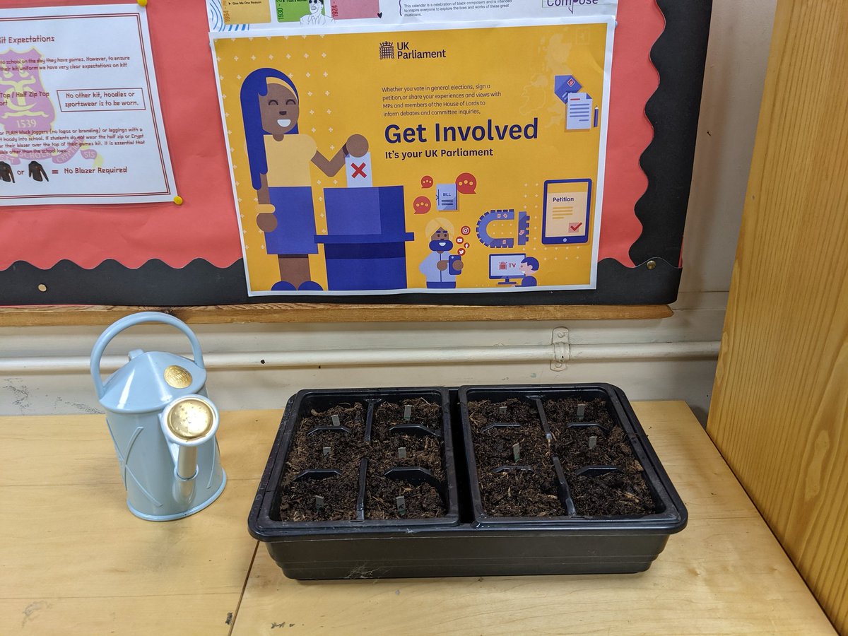 CryptPolitics's tweet photo. Today we "sowed the seeds of democracy" by planting chilli plants... Let's see how they grow! #CryptPolitics #UKPW #UKParliamentWeek https://t.co/6f2pSofH5i
