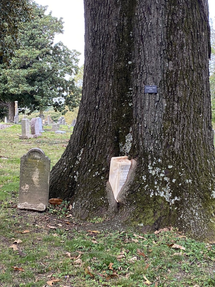 TweetDCS_DCMS's tweet photo. Cool history lesson today with Ms. Carroll’s Spotlight classes! McDaniel’s and Moore’s classes get ready. #TeamDCS #ElmwoodCemetery #Arcade #RiverWalk https://t.co/LxTV1H0OeV