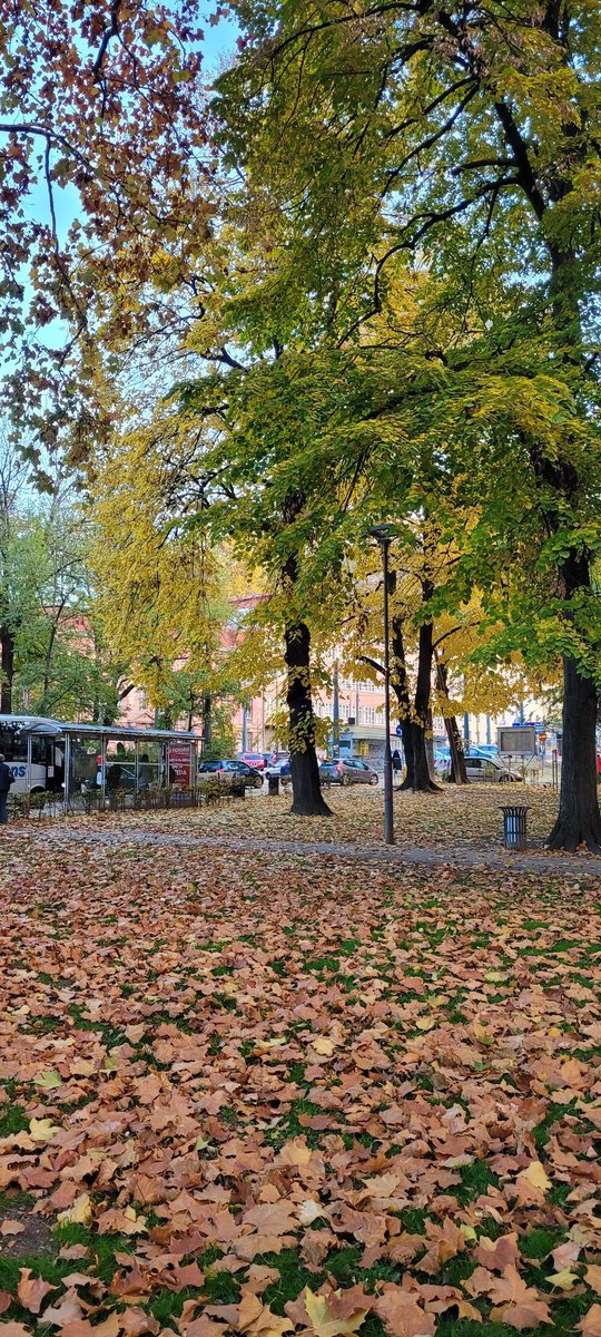 𝙡𝙤𝙡𝙖 ♡︎ | mind empty just mimi tweet media