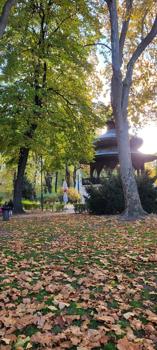 𝙡𝙤𝙡𝙖 ♡︎ | mind empty just mimi tweet media