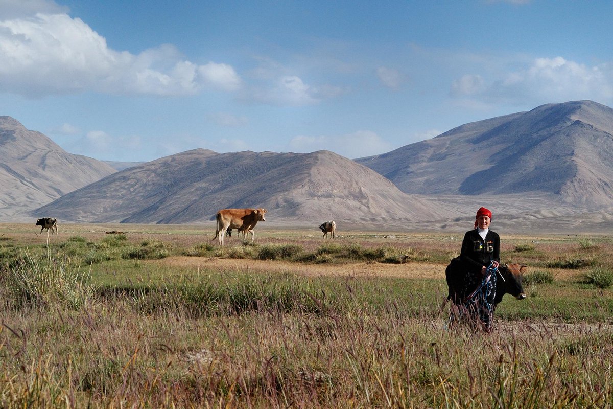 PamirInstitute's tweet photo. BULUNKUL (in summer) Alt. 3 740 m, 37Β°43'24"N 72Β°57'39"E, #Pamir #Tajikistan πΉπ―
The village of #Bulunkul is known as one of the coldest inhabited places in Central Asia with a record minimum temperature of -63 degrees Celsius.
Photographs π· by Bernard Grua #BernardGrua https://t.co/M73jYvLCaa