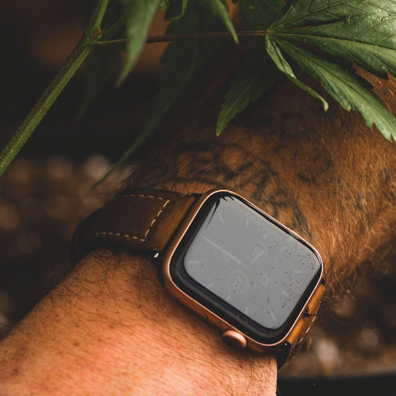 oregrowninc's tweet photo. all good things take time 🌱 https://t.co/k6k4dg66Aa