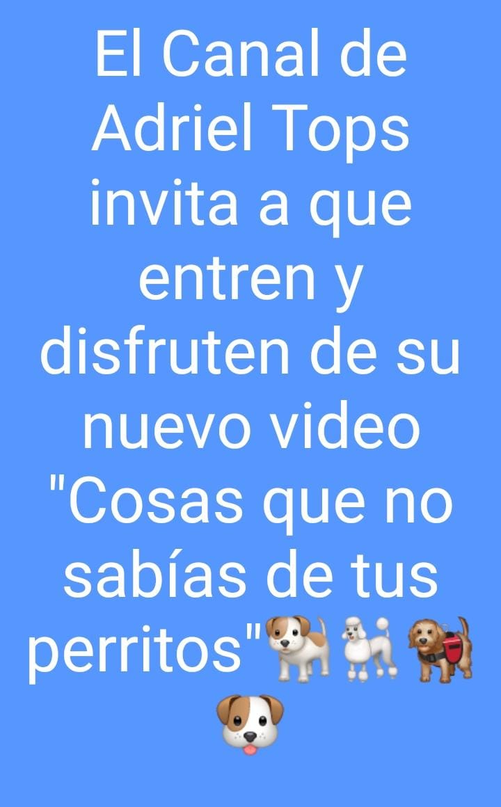 Primavera1023's tweet photo. Adriel Tops invita a disfrutar de sus videos https://t.co/LBapWK5e0E