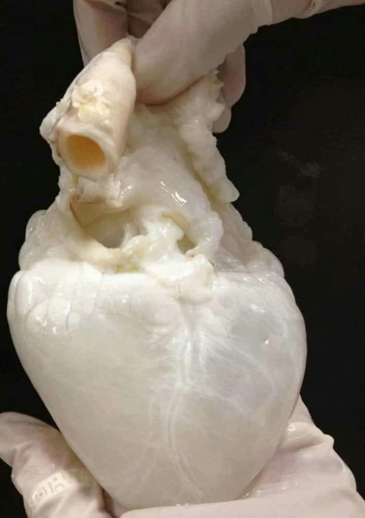 leningarca18's tweet photo. #hermoso #corazonlimpio https://t.co/r9q6Ki2kBr