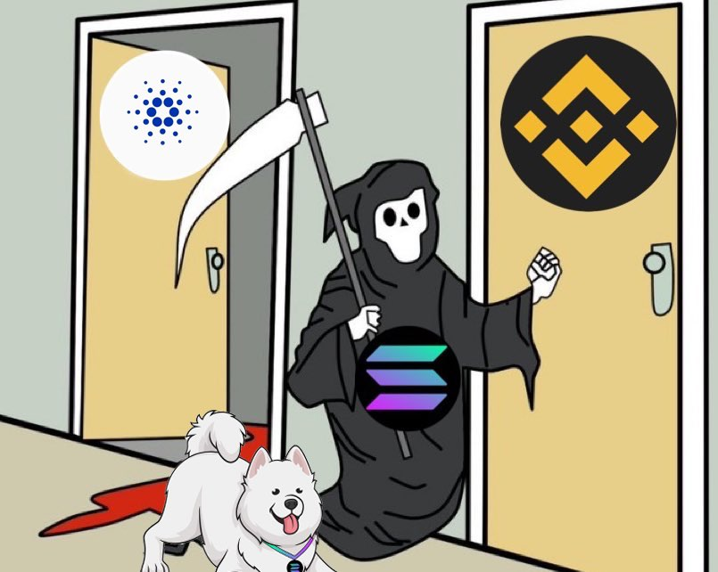 samoyedcoin's tweet photo. Are you really that surprised? https://t.co/OprB67KVer