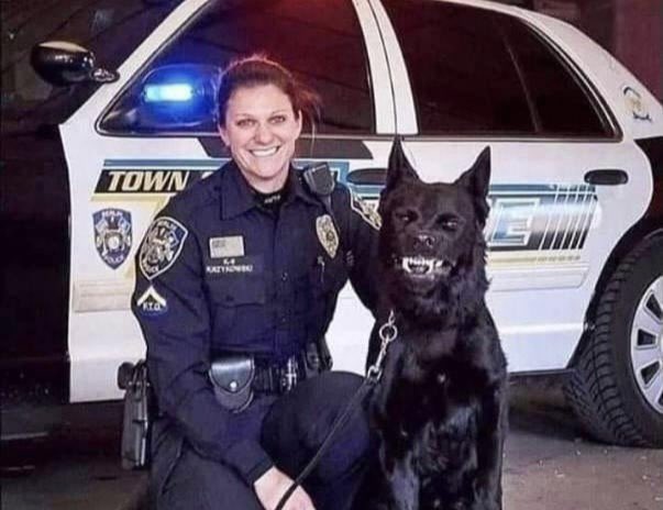 pictures of the end (@neighbours_wifi) on Twitter photo 