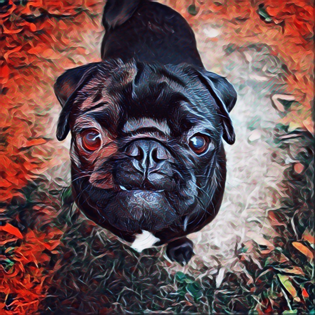 O_geeze's tweet photo. @MiatesNFT #kitay #pug #pugfection #NFTCommunity #nftcollector #nftphotography #NFTartists #OpenSeaNFT #OGeezecollection #dogecoin https://t.co/92s7xQyc6B