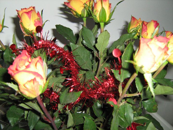 GDijkhuyzen's tweet photo. @PeggyStuart Well said Peggy!So https://t.co/orqEOt2rpo define someone where she/he came from by the way she acts!Roses for you my friend. https://t.co/yCg2kSjYhr