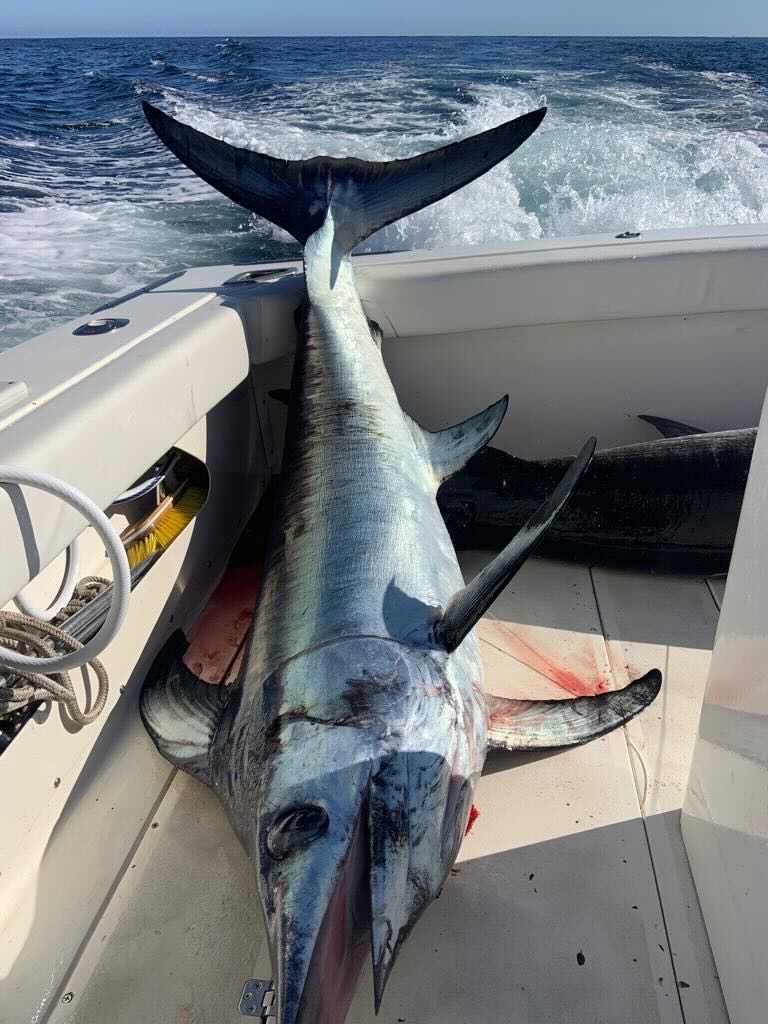 Real Good Fish tweet media