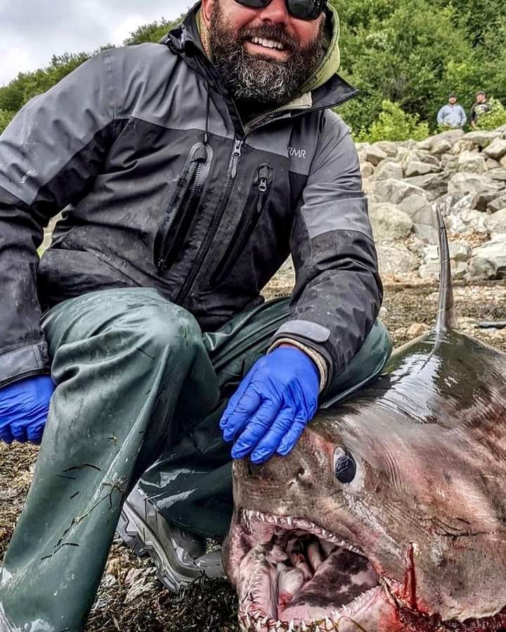 ABC4EXPLORE's tweet photo. Just in case you’re still confused about who the “real” Sea Monsters are… reposting @SharkAngels = https://t.co/dYgzGhGKvT https://t.co/S12TGOSsAr