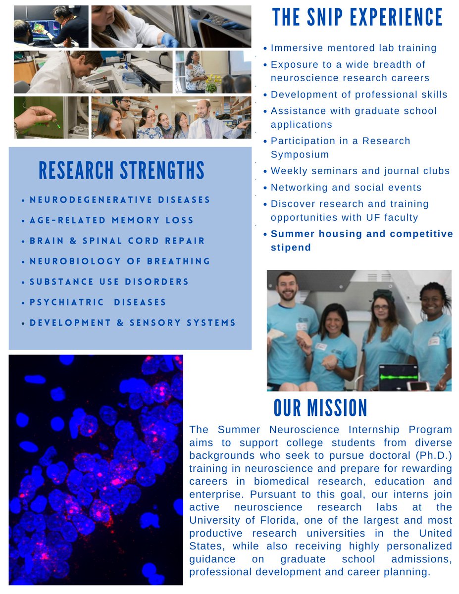 UFNeuroscience's tweet photo. Are you looking for a paid research based internship with the UF Department of Neuroscience? 

Applications to SNIP for the Summer 2022 program will open December 1st, 2021. Check out the website below to learn more about this great opportunity!
https://t.co/or850ttZyd https://t.co/yuB4wuC8p0
